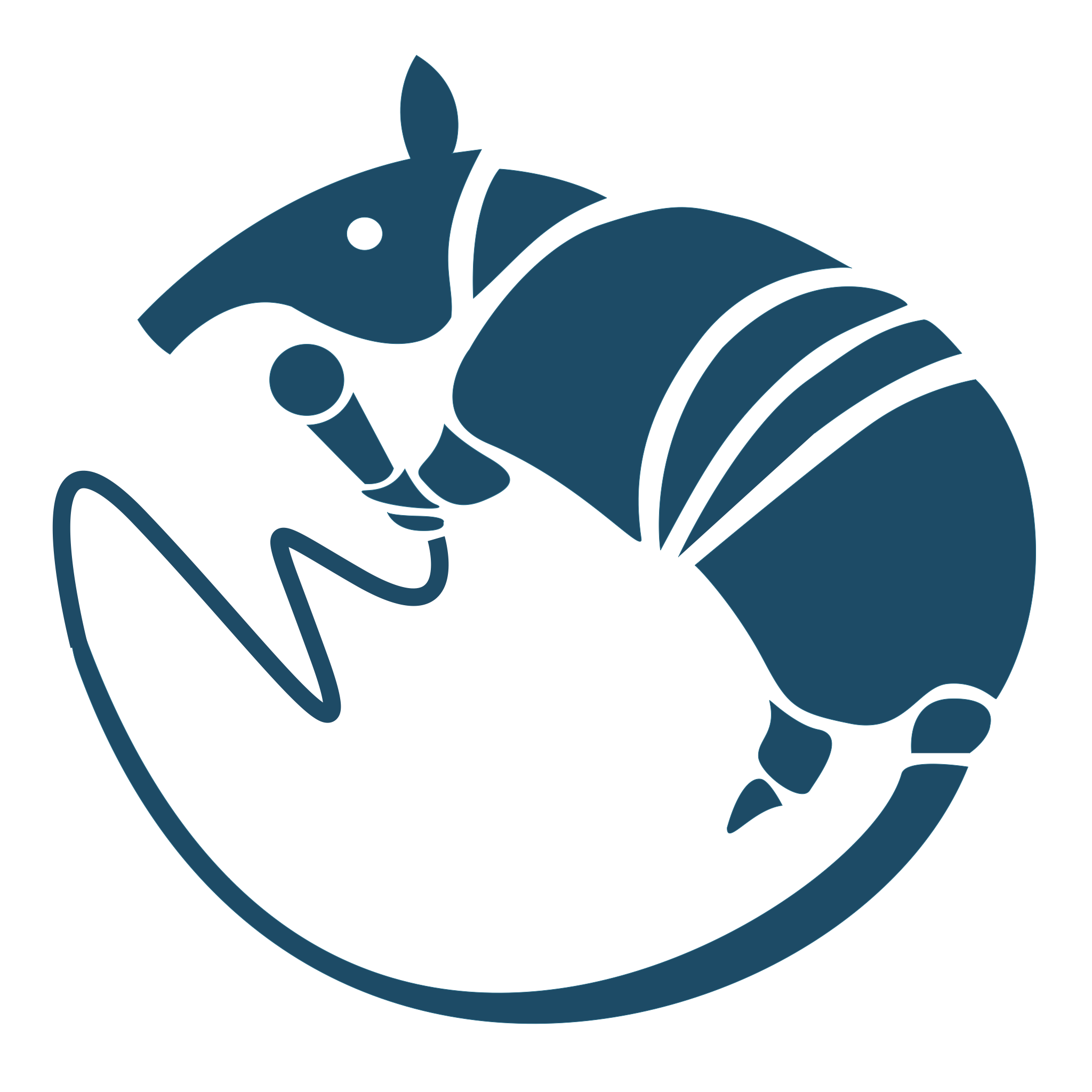 The Singing Armadillos